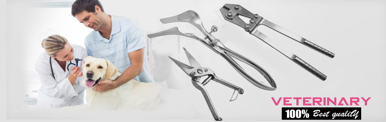 Dental Instruments - King Kazmi Impex